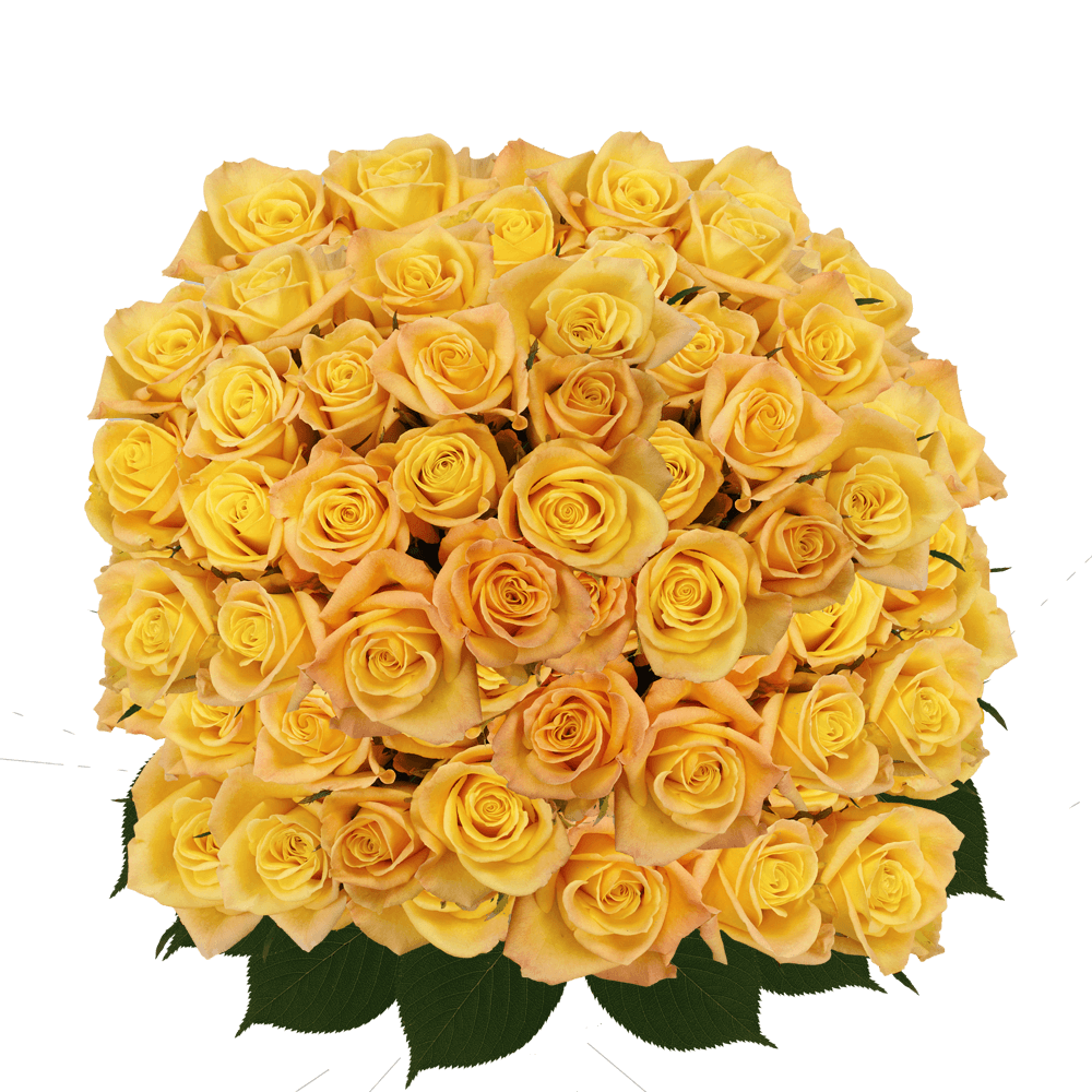 Long Stem Light Yellow Roses