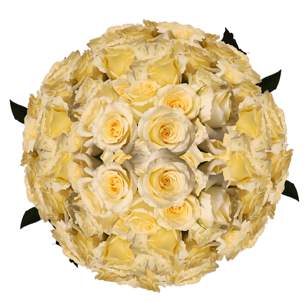 Long Stem Light Yellow Roses Wholesale Large Bouquet of Roses