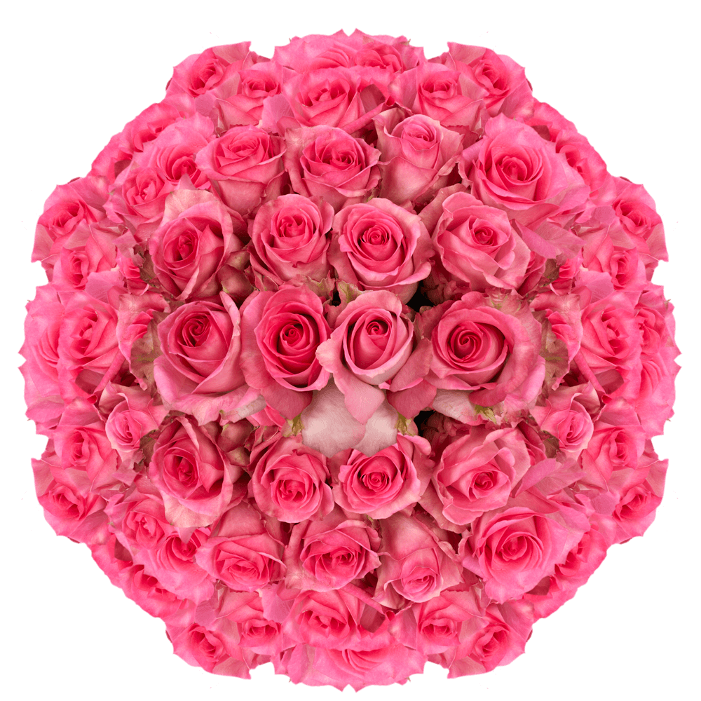 Long Stem Pink Wedding Roses
