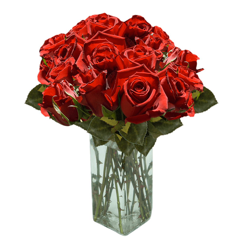 Cheap Christmas Color Spray Carnation Flowers