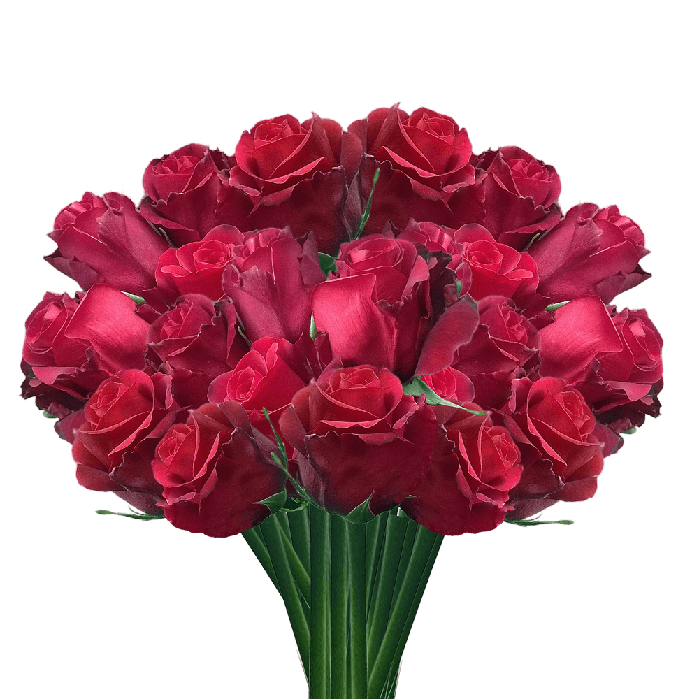 Long Stem Red Roses Free Delivery Long Stem Roses in a Box