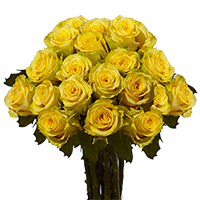 75 XX Long  Stems of Light Yellow, Yokohama Roses