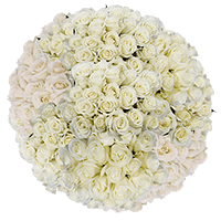 Qty of Solid White Color Roses For Delivery to New_Jersey