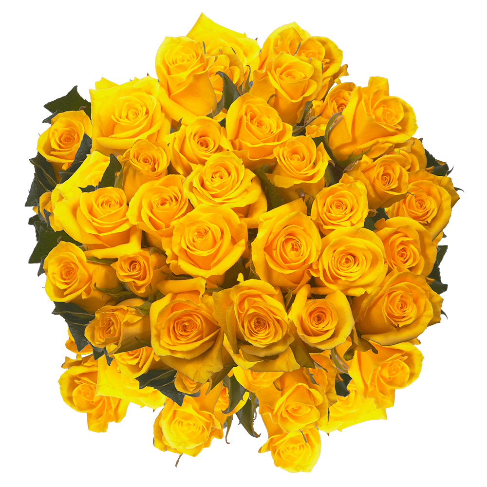 Mail Order Roses Yellow Blooms Valentine's Day Deals