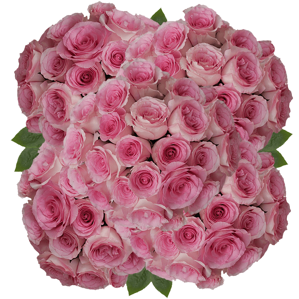 (HB) Rose Long Mandala 150 Stems For Delivery to Federal_Way, Washington