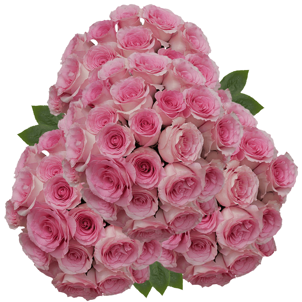 (QB) Rose Med Mandala 100 Stems For Delivery to Hollywood, Florida