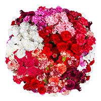 (OC) Spray Fcy Assorted 10 Bunches