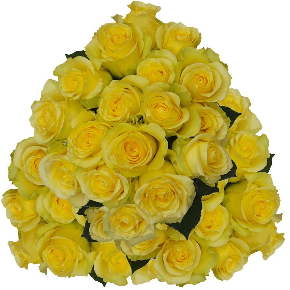 (QB) Rose Long Minion Yellow For Delivery to Tullahoma, Tennessee