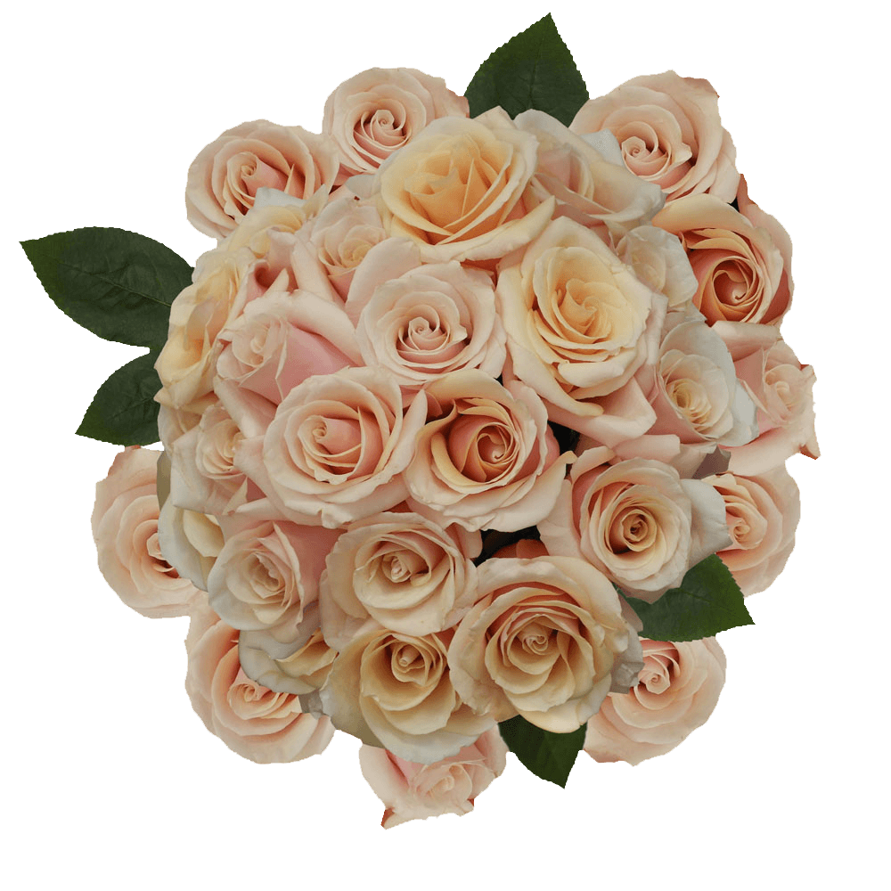 Mother of Pearl Roses Soft Pink Flower Delivery