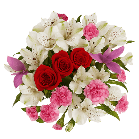 2 for 1 My Favorite Arrangements