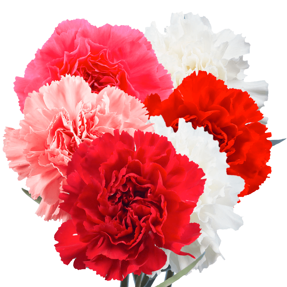 Flower Delivery to Faqs.Html, Oklahoma