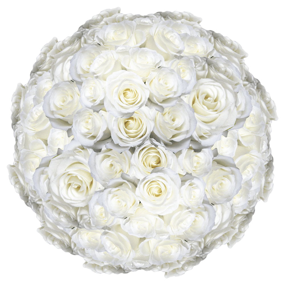 Mother's Day Flower Deals White Roses