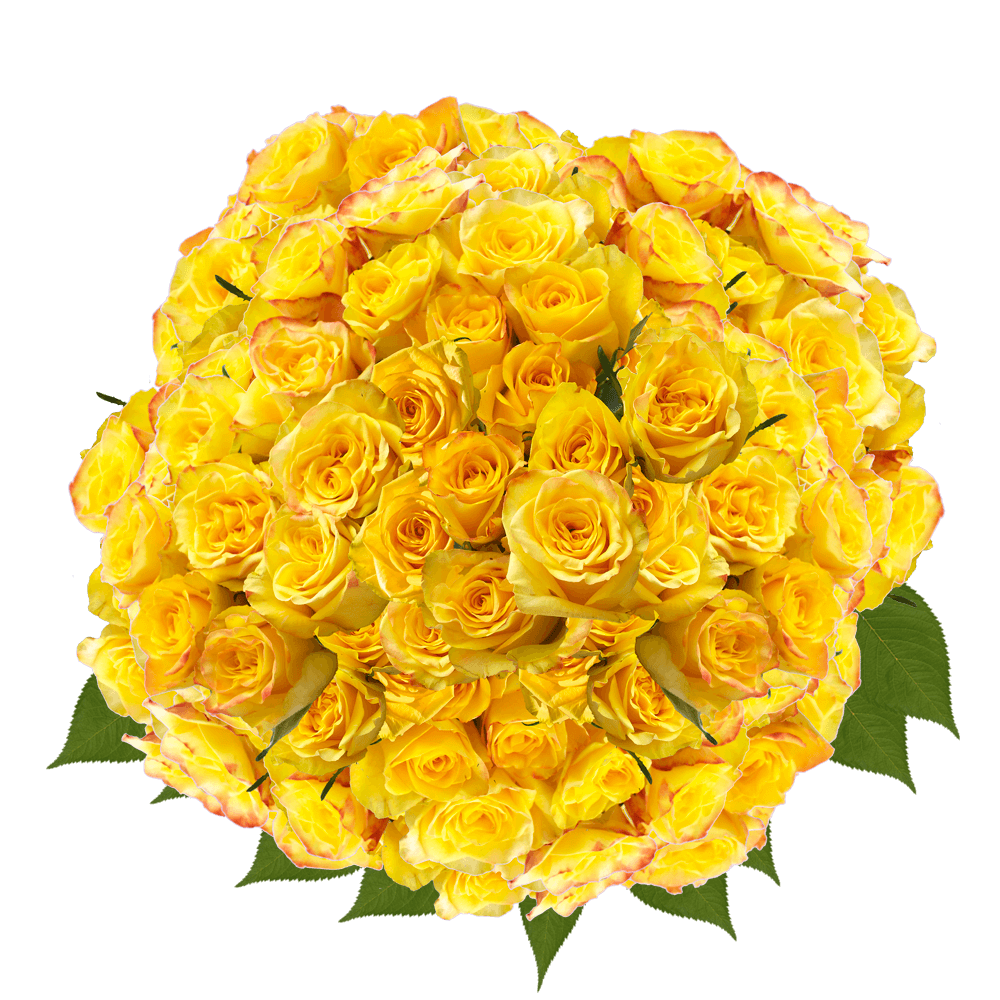 Mother's Day Flower Gifts Best Price Yellow Roses