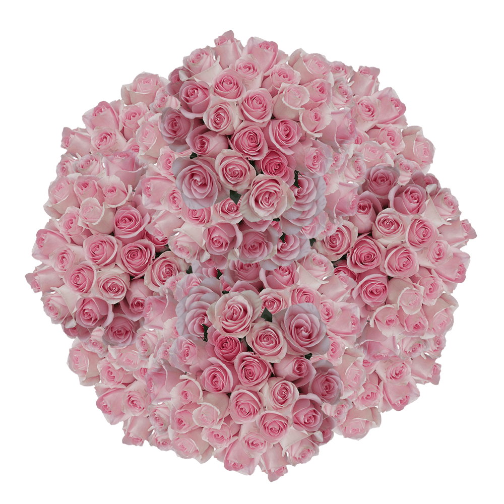 Mother's Day Flower Specials Online Light Pink Roses