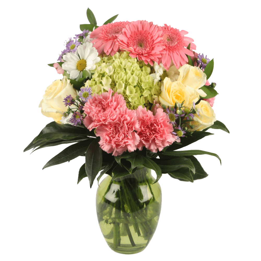 Mother's Day Flower Specials Online Pink Gerbaras Hydrangeas