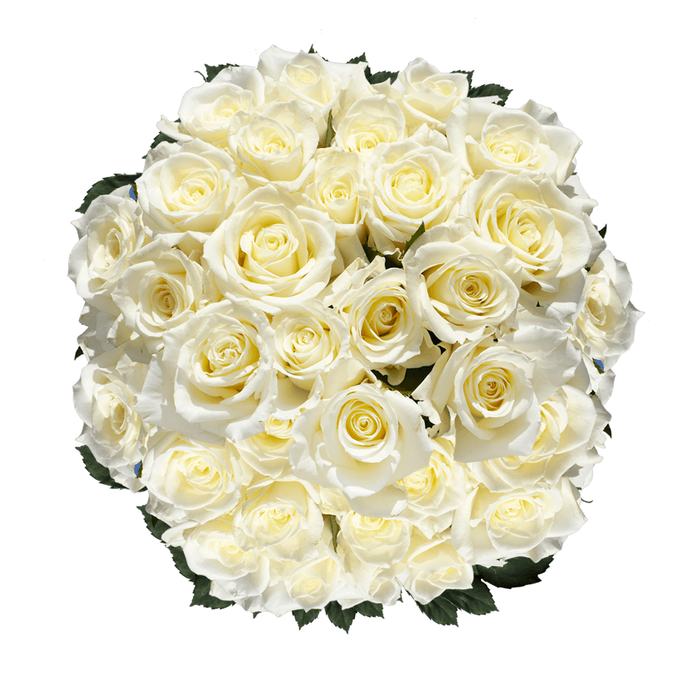 Mother's Day Flowers Deals Fresh Cut White Roses