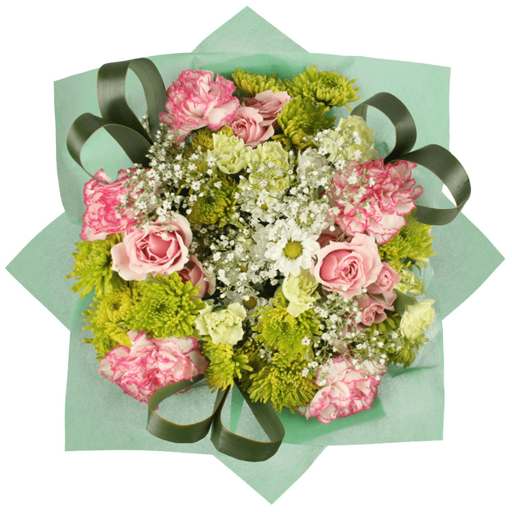 Mothers Day Flowers Free Shipping Pink Roses Gypsophila Carnations