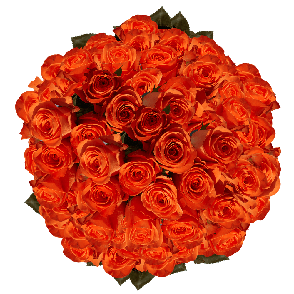 Mother's Day Flowers Gifts Orange Roses
