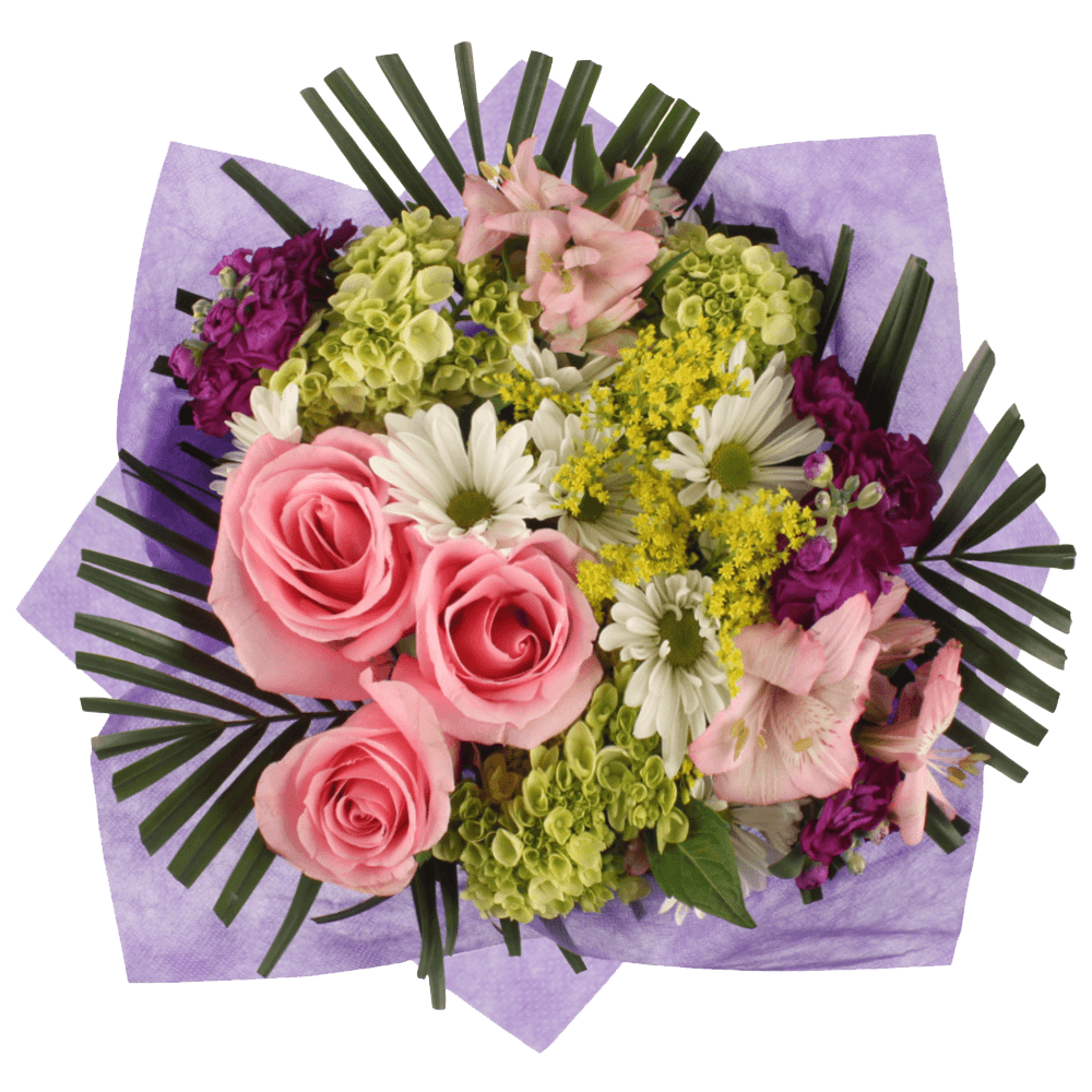 Mothers Day Flowers Pink Roses Green Hydrangea Fillers