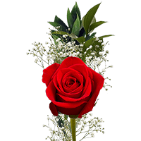 (HB) Single Sht Red Roses Fillers 70 For Delivery to Royal_Oak, Michigan