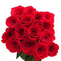 (OC) Rose Sht Red 2 Bunches For Delivery to East_Syracuse, New_York