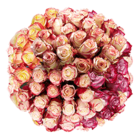Rose Sht Bi-Color (OC) [Include Flower Food] (OM) For Delivery to Boiling_Springs, South_Carolina