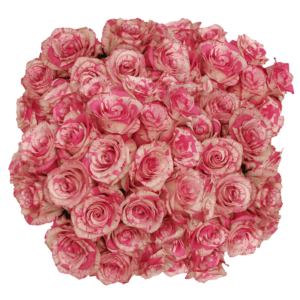 (QB) Rose Med Magic Times 100 Stems For Delivery to Goodyear, Arizona