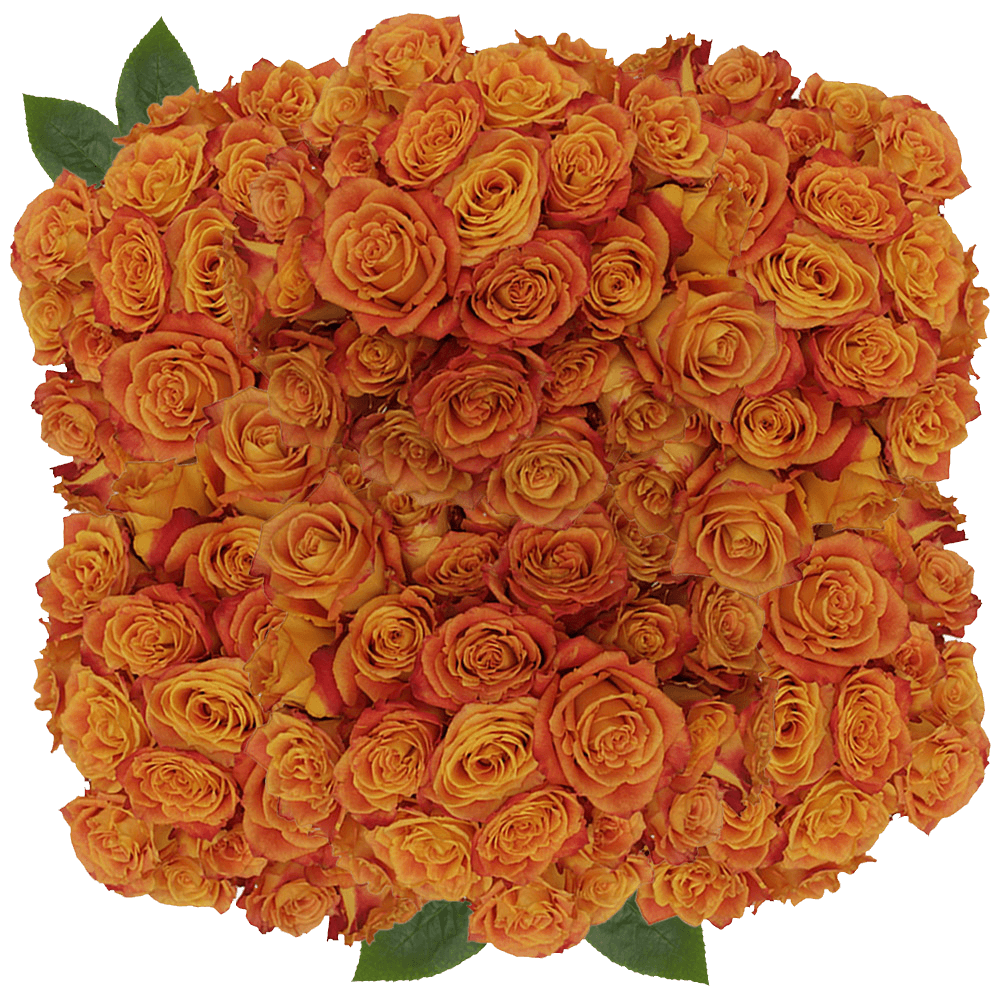 Natural Fresh Silantoy Roses Flowers Online
