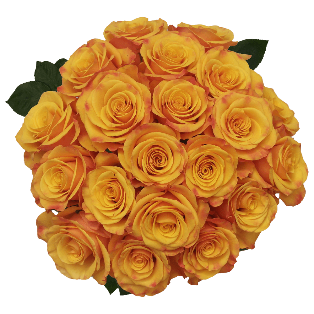 Natural Fresh Tycoon Roses Flowers Online