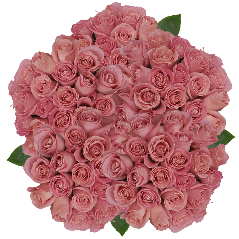 Natural Hermosa Roses Antique Light Pink Flowers Online