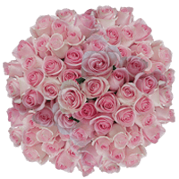 (HB) Rose Long Luciano 150 Stems For Delivery to Newport_News, Virginia