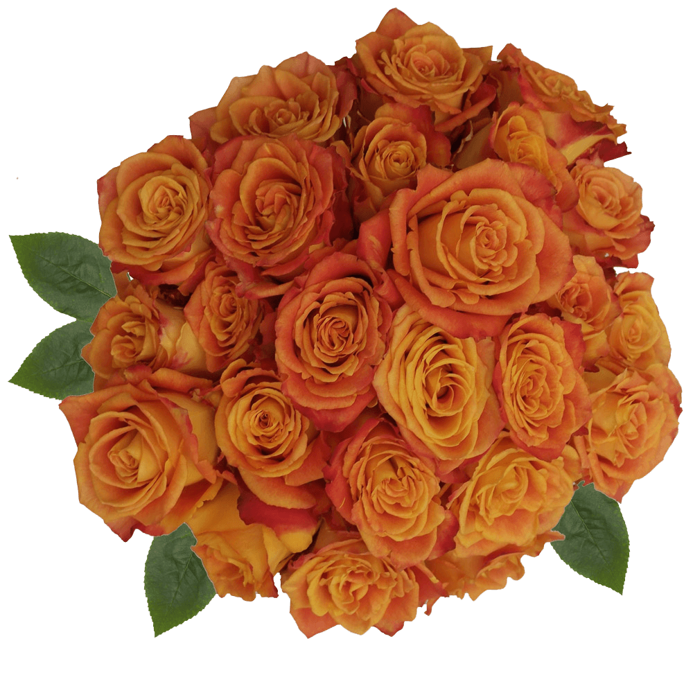 Natural Silantoy Roses Yellow and Red Flowers Online