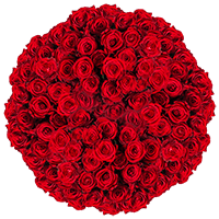 (HB) Roses Sht Red [Include Flower Food] (OM) For Delivery to Jonesboro, Arkansas