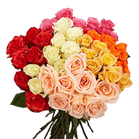Rose Long Assorted (QB) [Include Flower Food] (OM) For Delivery to Pennsylvania