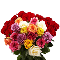 Rose Sht Seasonal (QB) [Include Flower Food] (OM) For Delivery to Pekin, Illinois
