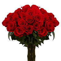 Rose Long Red (QB) [Include Flower Food] (OM) For Delivery to Mustang, Oklahoma