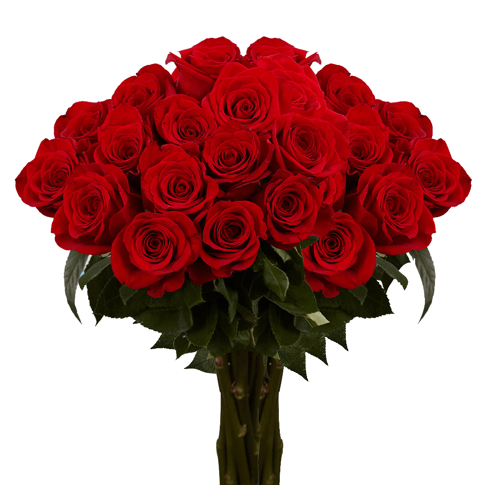 Next Day Delivery Premium Valentine's Day Red Roses