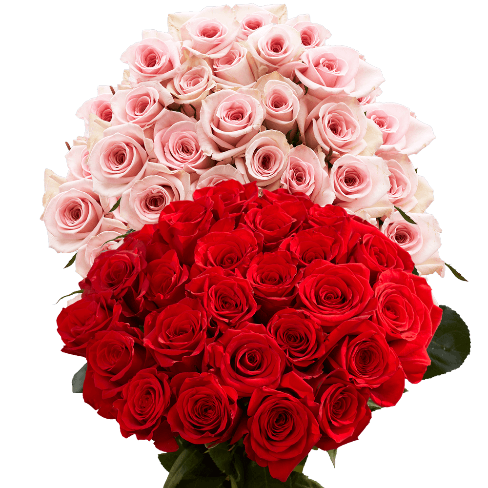 Next Day Delivery Valentine's Day Rose Delivery