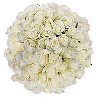 Rose Sht White (QB) [Include Flower Food] (OM) For Delivery to Charlotte, North_Carolina