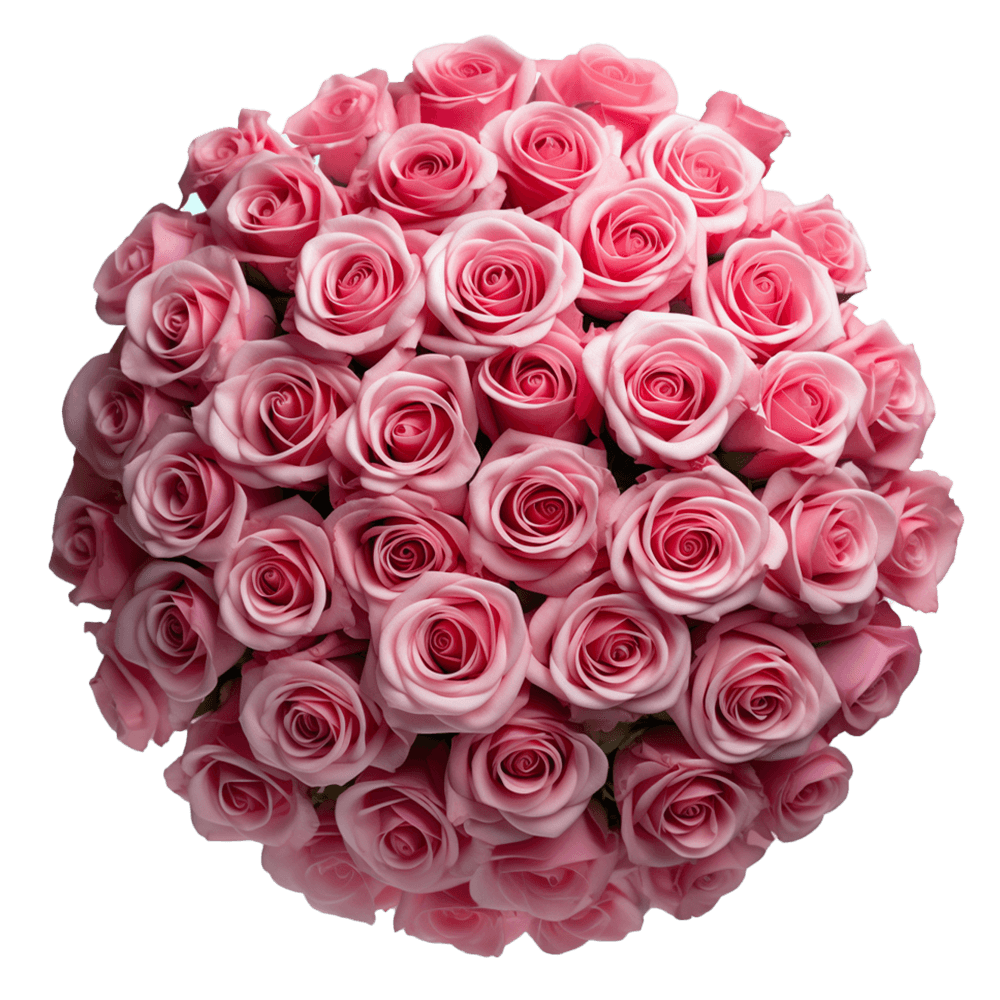 3500 Pink Rose Petals- Beautiful Fresh Cut Flowers- Express Delivery