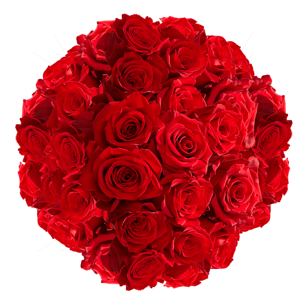 (QB) Rose Sht Red 4 Bunches For Delivery to Secaucus, New_Jersey