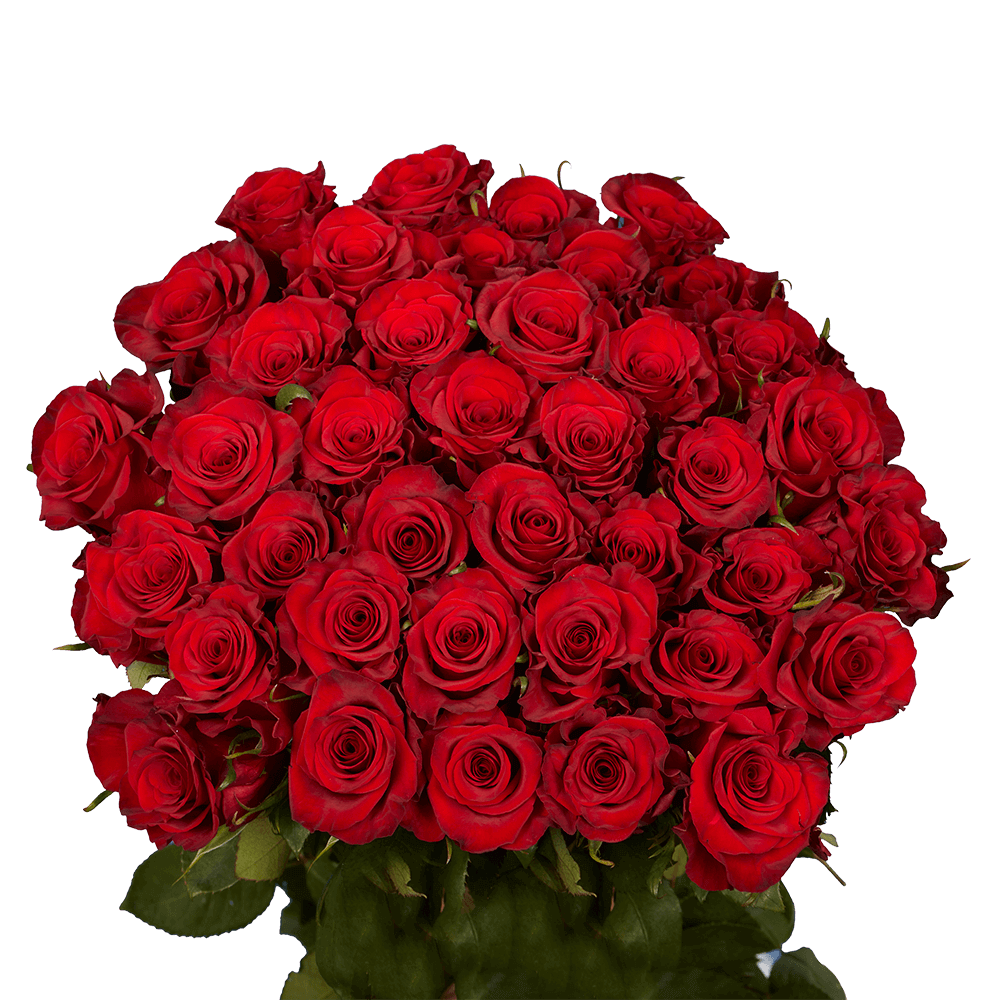 Online 50 Assorted Red Roses