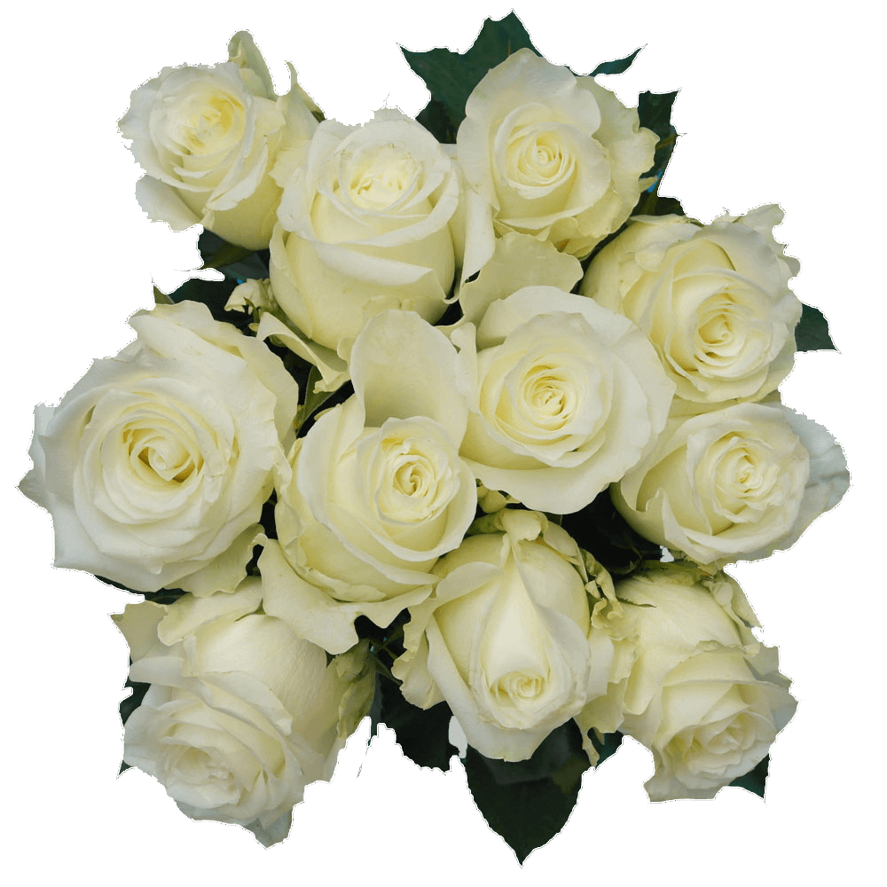 Online Alpe D'huez White Roses Delivery