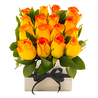 16 Marvelous Premium Bicolor Yellow Roses, 8 Fresh Green Ruscus and a Ribbon Tuxedo