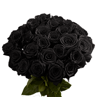 Rose Sht D-02 Black 50 (OC) 2 Bunches For Delivery to Westerville, Ohio