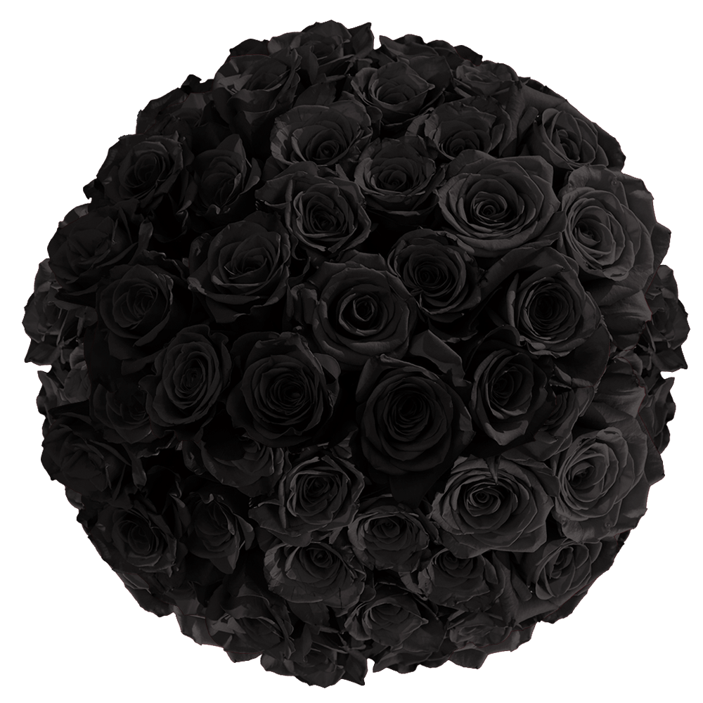 Online Black Roses Next Day Flower Delivery