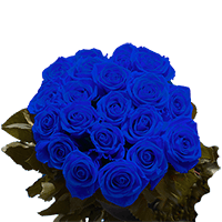 Rose Sht D-09 Blue 50 (OC) 2 Bunches For Delivery to Mitchell, South_Dakota
