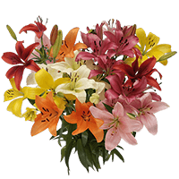 Qty of Asiatic Lily Flowers For Delivery to Lombard, Illinois