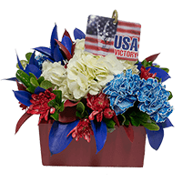 Nation Colors Patriotic Kit For Delivery to Brattleboro, Vermont