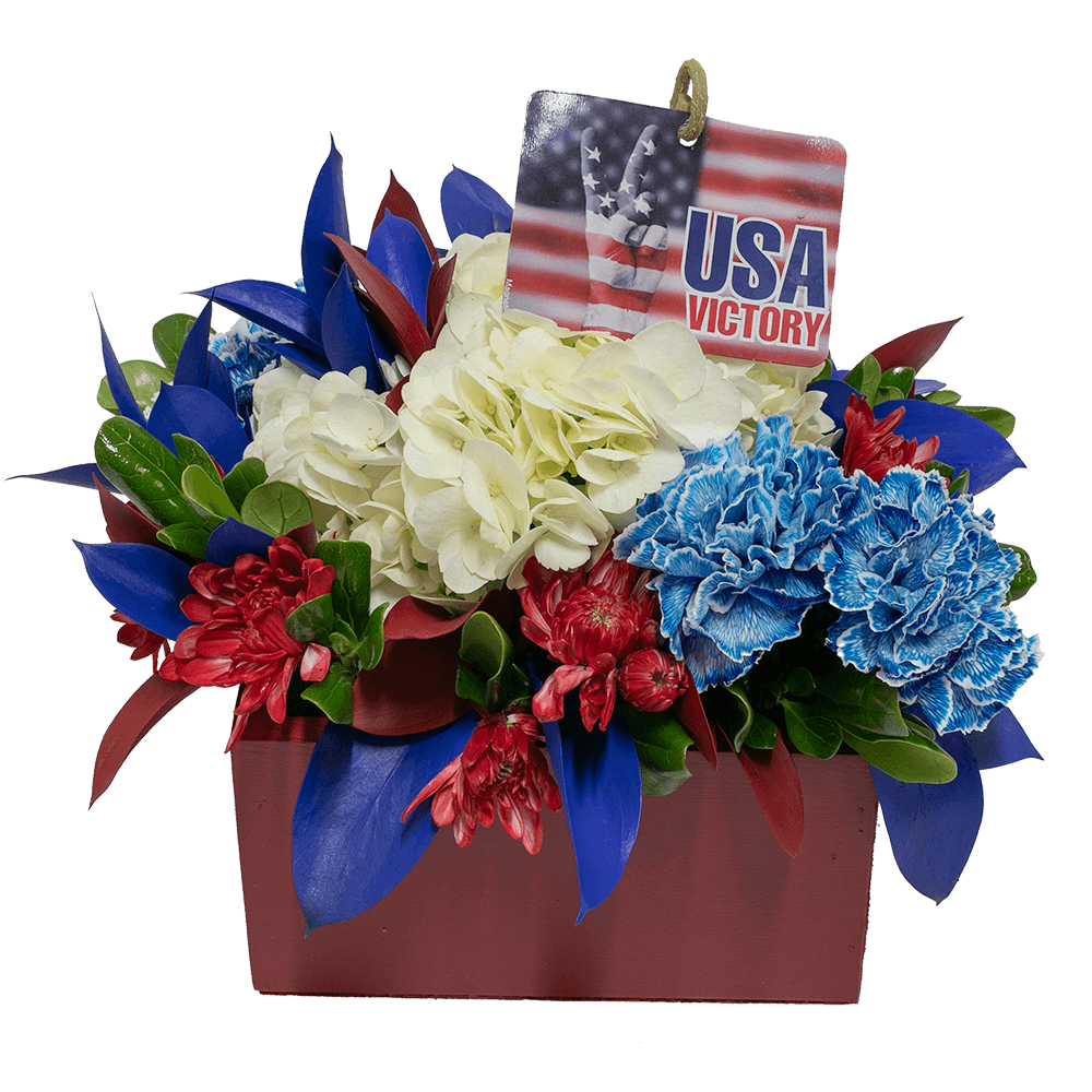 Online Flowers Patriotic Kit For Sale